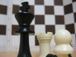 Schach 2010