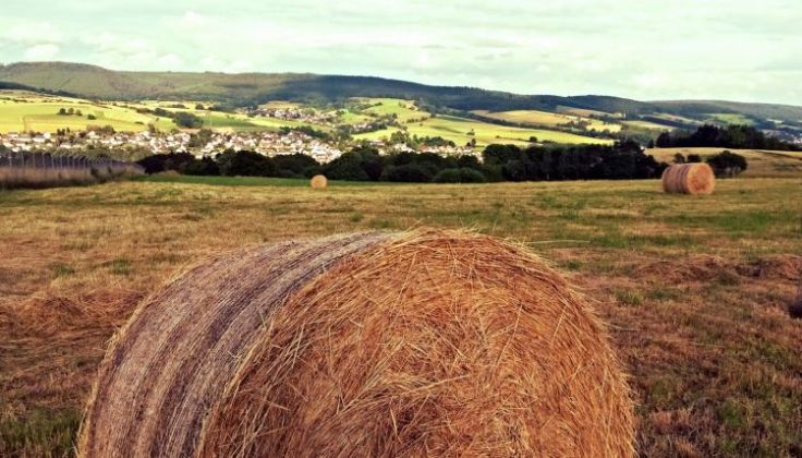 Blick auf Unterhaun und Rotensee, Juni 2014
